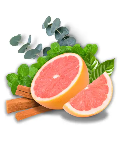 Emerald Bay Clean Fragrance - Clean Fragrances
